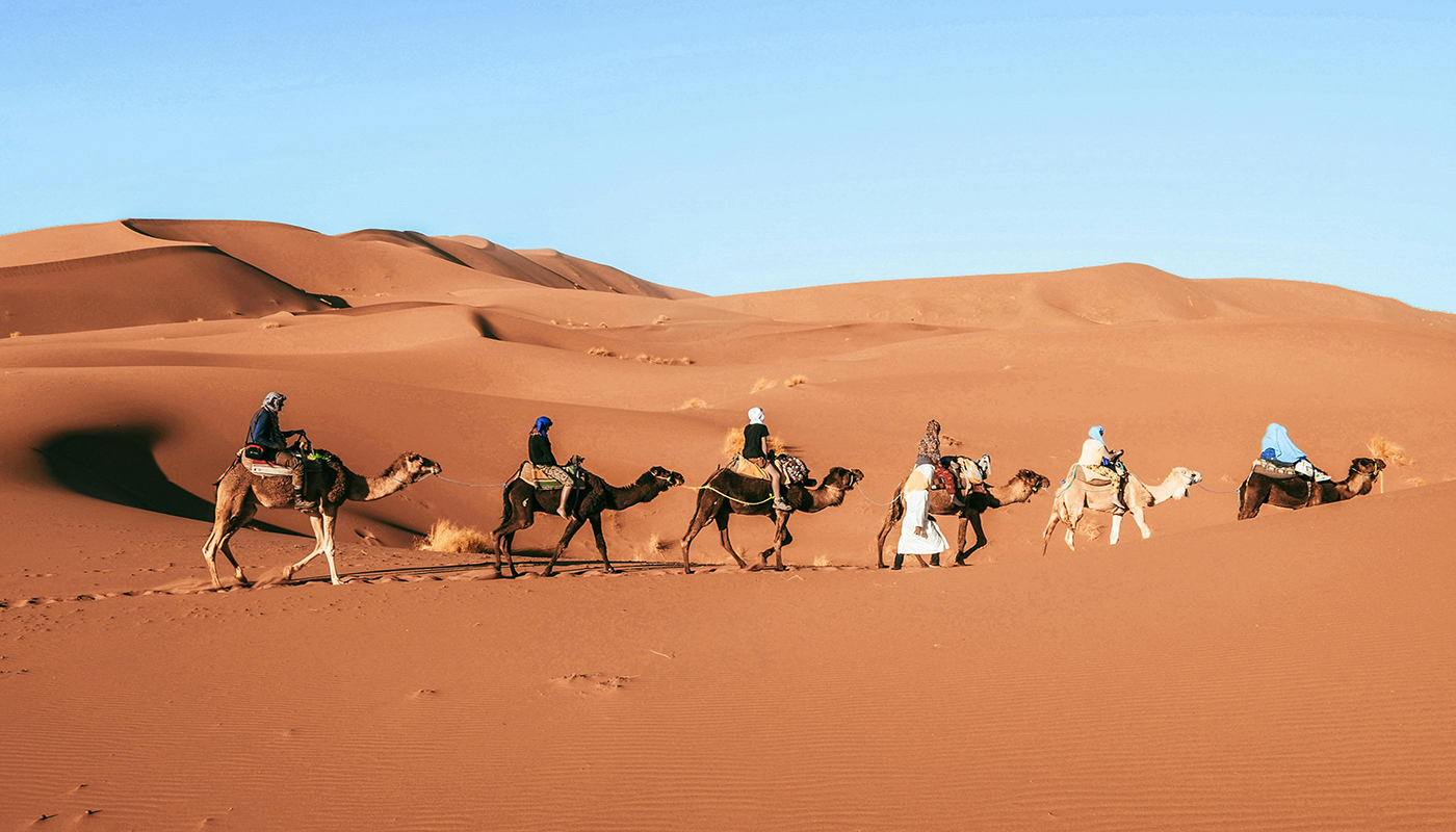 Camel trekking experience during desert tours in Morocco