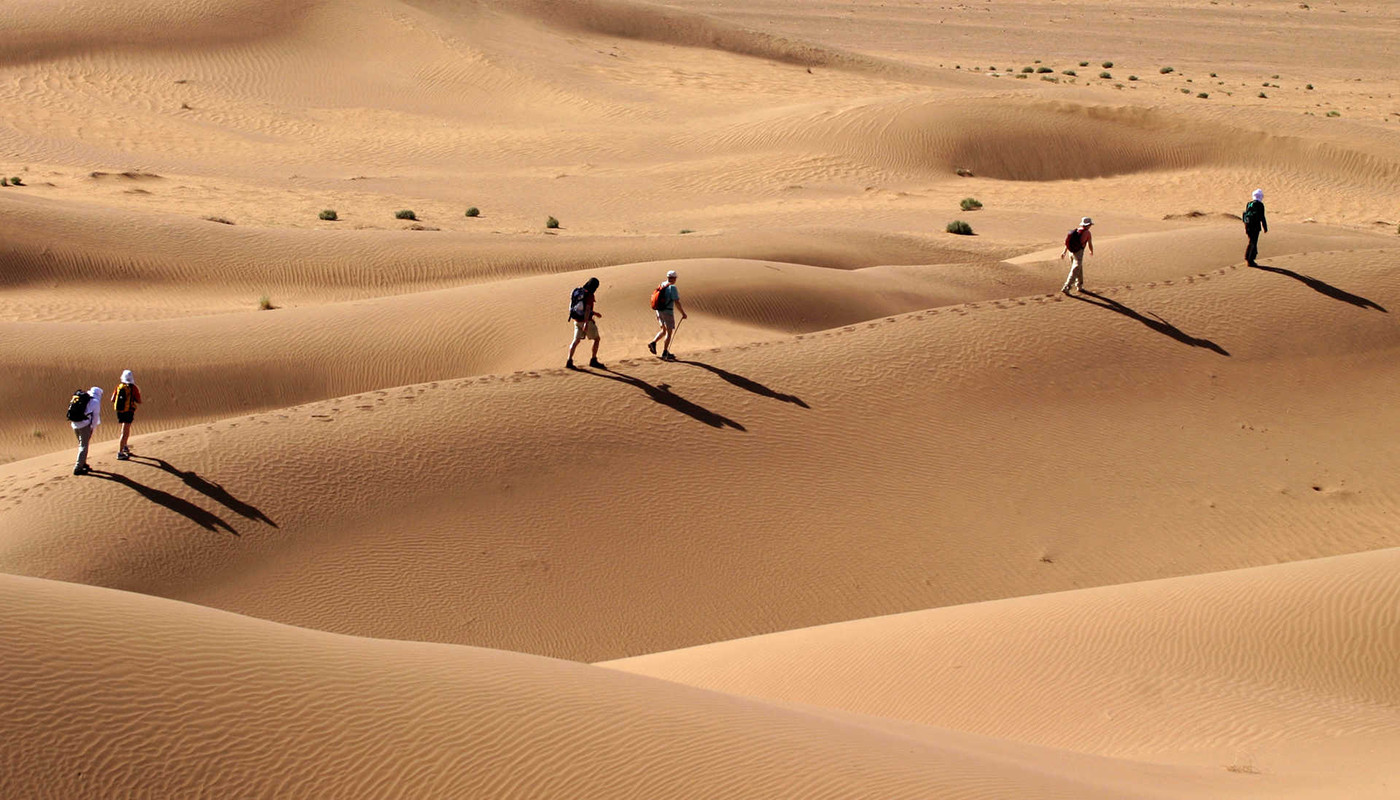 Trekking in the Moroccan desert with camel caravan across Sahara dunes
